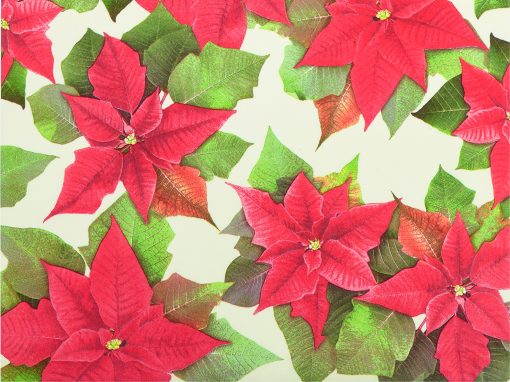 dækkeservietter i papir med julestjerner der måler 30 x 40 centimeter