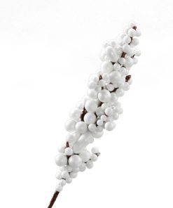 bærstængel med hvide bær på pind der måler 17 centimeter