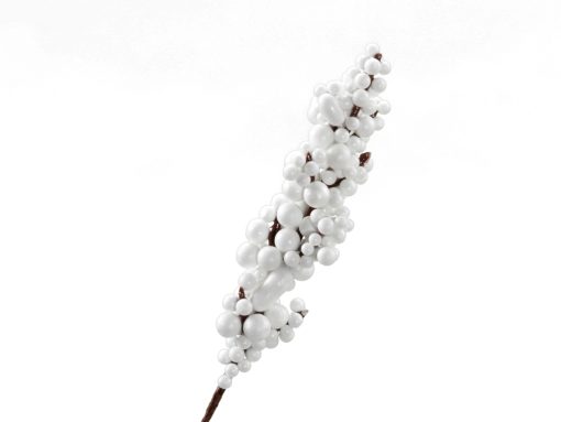 bærstængel med hvide bær på pind der måler 17 centimeter